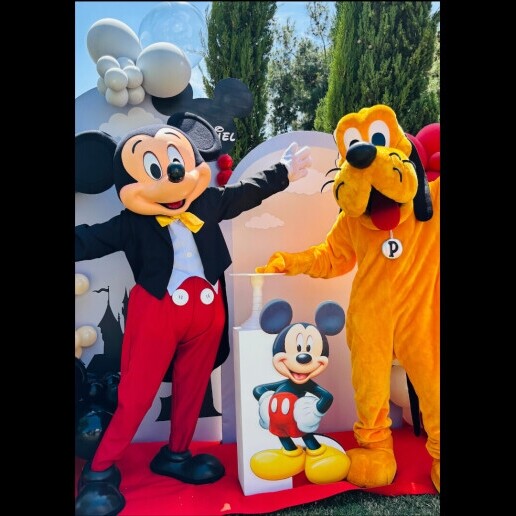 Character/Mascott Haarlem  (NL) Hire Pluto Premium Mascot