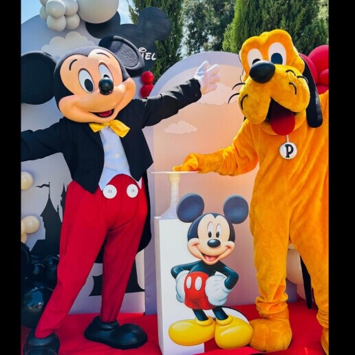 Character/Mascott Haarlem  (NL) Hire Pluto Premium Mascot