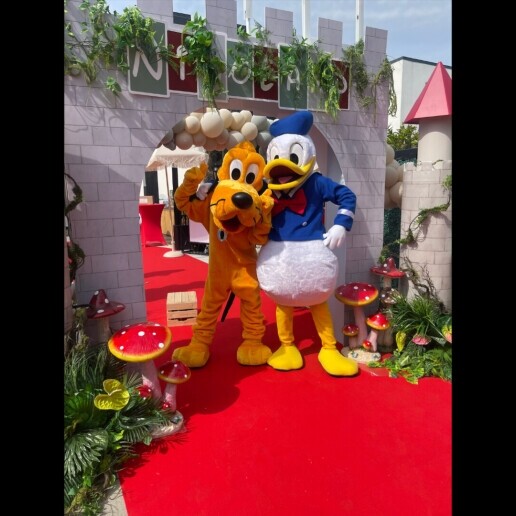 Character/Mascott Haarlem  (NL) Hire Donald Duck Mascot