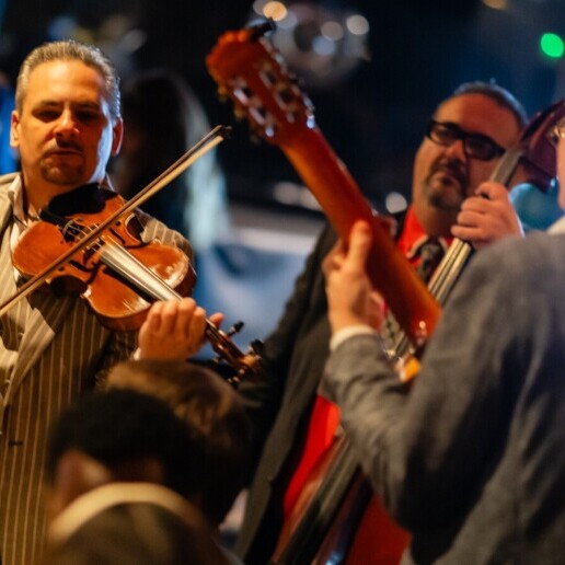 Violist Deinze  (BE) Akustika