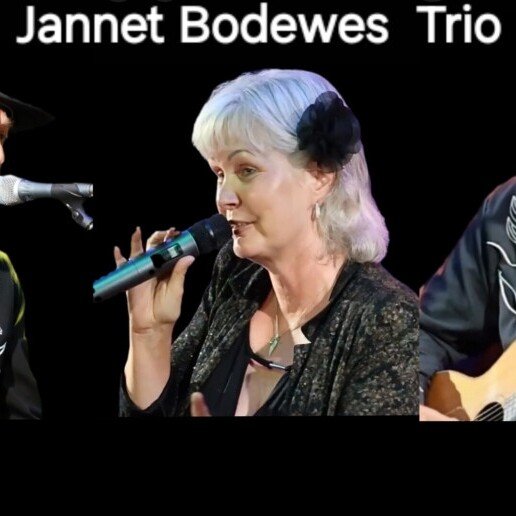 Singer (female) Emmen  (NL) Acoustic Trio Jannet Bodewes