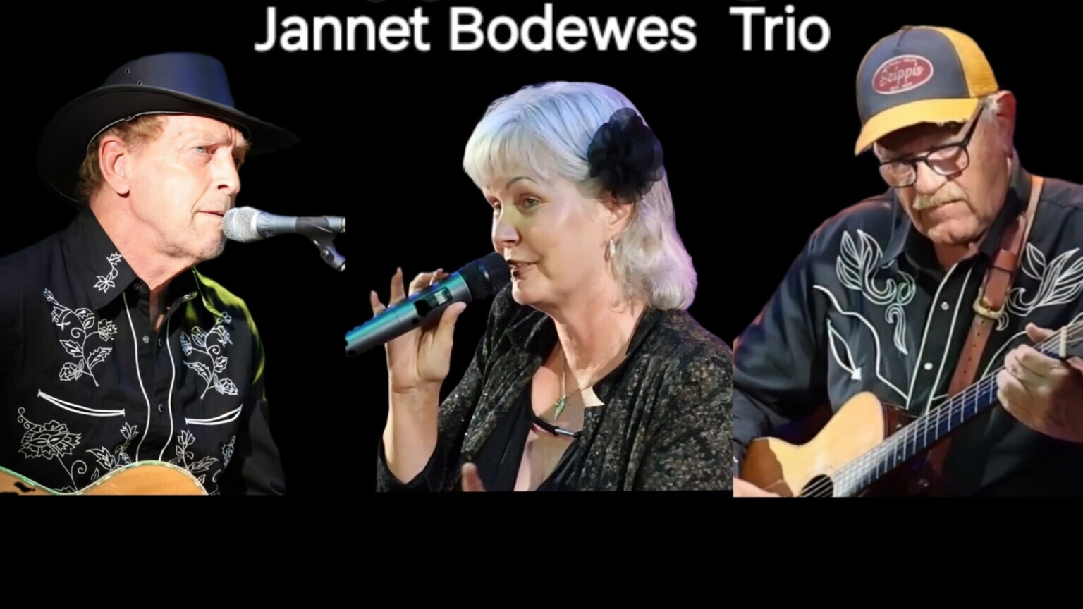 Acoustic Trio Jannet Bodewes