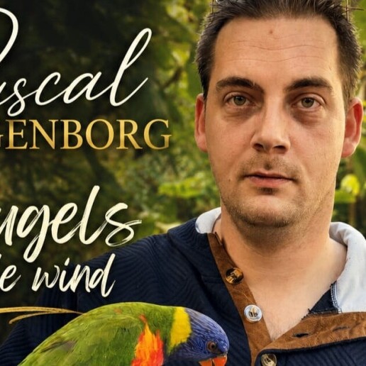 Zanger Zuidbroek  (NL) Pascal plaggenborg