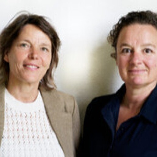 Trainer/Workshop Rosmalen  (NL) Complexe persoonlijkheden op werkvloer