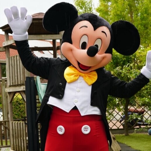 Karakter/Verkleed Almelo  (NL) Mickey & Minnie Mouse Premium