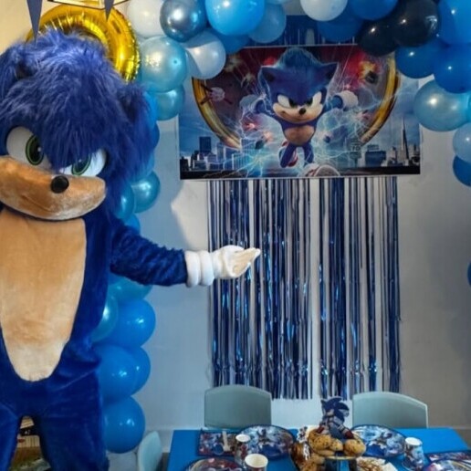 Karakter/Verkleed Almelo  (NL) Sonic the Hedgehog Premium