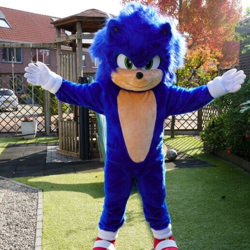 Character/Mascott Almelo  (NL) Sonic the Hedgehog Premium