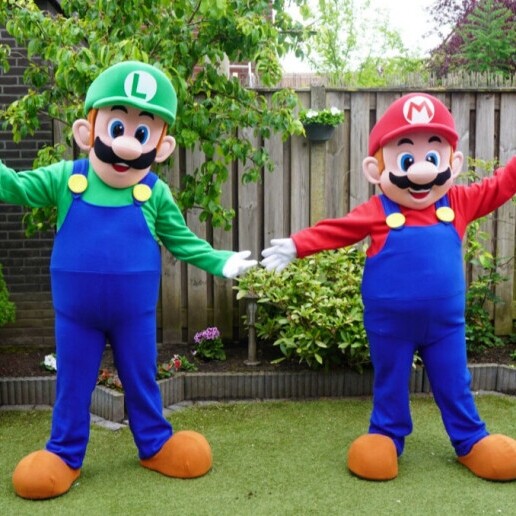 Character/Mascott Almelo  (NL) Super Mario & Luigi mascot