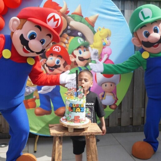 Character/Mascott Almelo  (NL) Super Mario & Luigi mascot