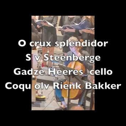 Cello | Gadze Heeres