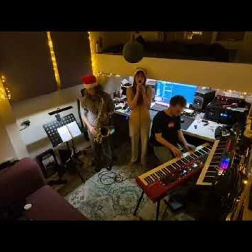 Band Apeldoorn  (NL) Christmas trio vocals, saxophone, keys