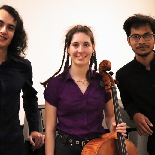 Orchestra Den Haag  (NL) Super Wedding Piano Trio