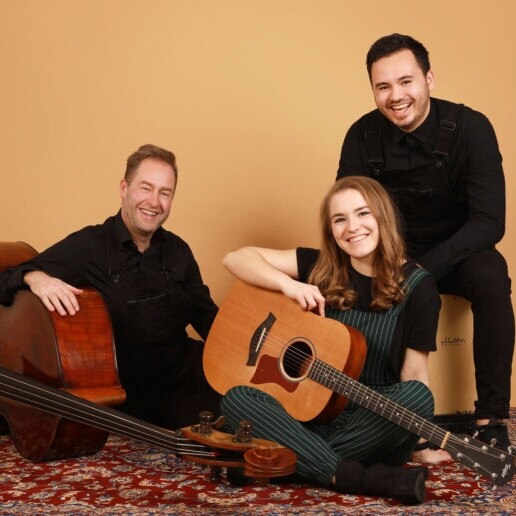 Band Willemstad  (Noord Brabant)(NL) Gold Collective acoustic cover band