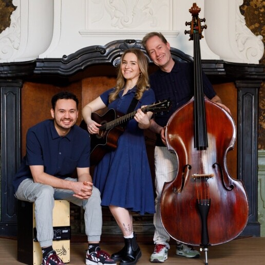 Band Willemstad  (Noord Brabant)(NL) Gold Collective akoestische coverband