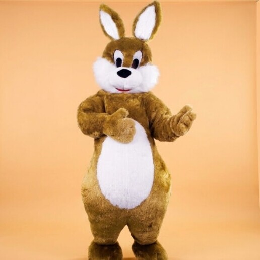 Karakter/Verkleed Zwolle  (NL) Paashaas - De perfecte voorjaarsact