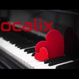 Vocalix