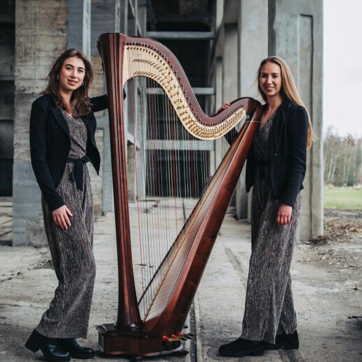 Harpist As  (BE) Harp background music Harp sistersHaemers
