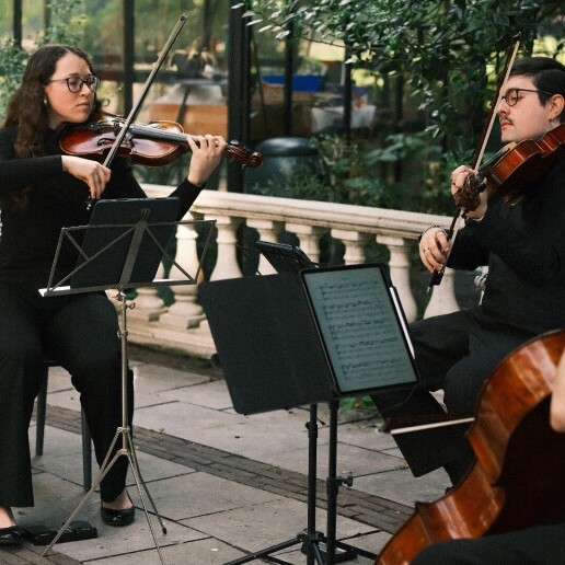 Violist Brussel  (BE) Les Trois Cordes - Reis inbegrepen