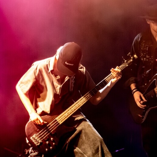 Photographer Venhuizen  (NL) Concert /theater photography