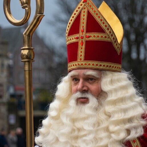 Animatie Dordrecht  (NL) Sinterklaas en Pieten Boeken 60 min