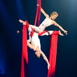 Aerial Silks Duo: Lucht-Acrobatiek Show