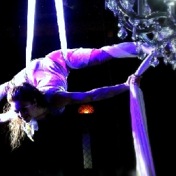 Aerial Silks Duo: Lucht-Acrobatiek Show