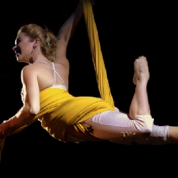 Aerial Silks Duo: Lucht-Acrobatiek Show