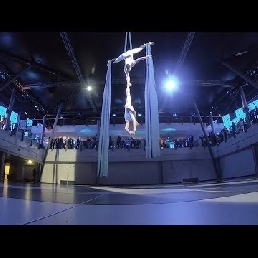 Aerial Silks Duo: Lucht-Acrobatiek Show