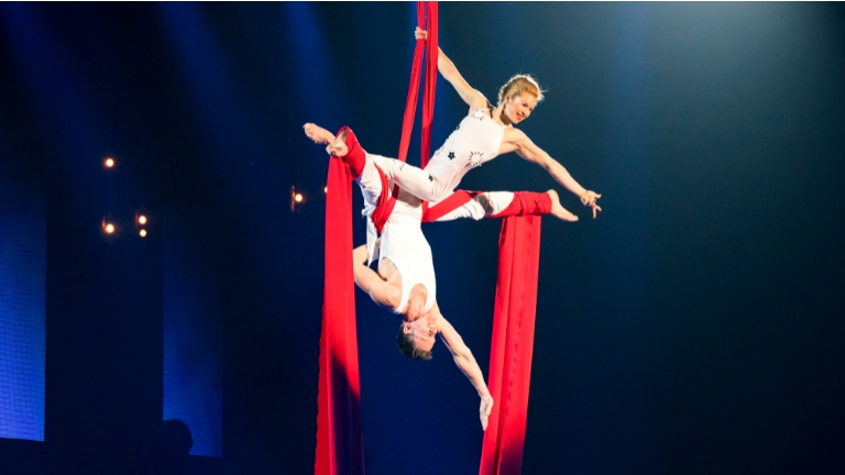 Aerial Silks Duo: Lucht-Acrobatiek Show