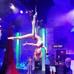 Aerial Hoop - Champagne Ring Acrobatics