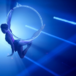 Aerial Hoop - Champagne Ring Acrobatiek