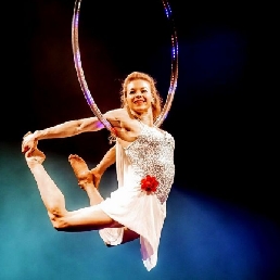 Aerial Hoop - Champagne Ring Acrobatiek