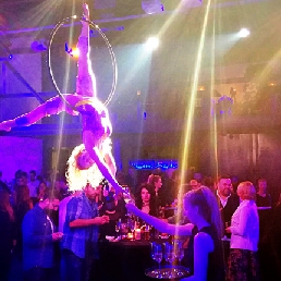 Aerial Hoop - Champagne Ring Acrobatics