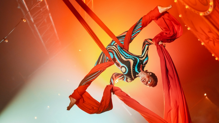 Aerial Silks: Lucht-Acrobatiek Solo Show