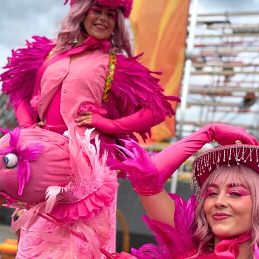 Animatie Achel  (BE) Flamingo / Steltenloper