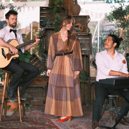 Zangeres Breda  (NL) Akoestisch Trio