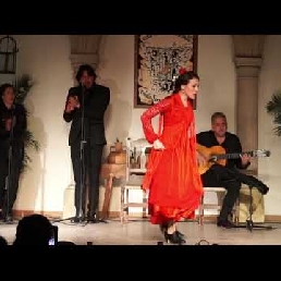 Flamencoshow (Zang, Gitaar en Dans)