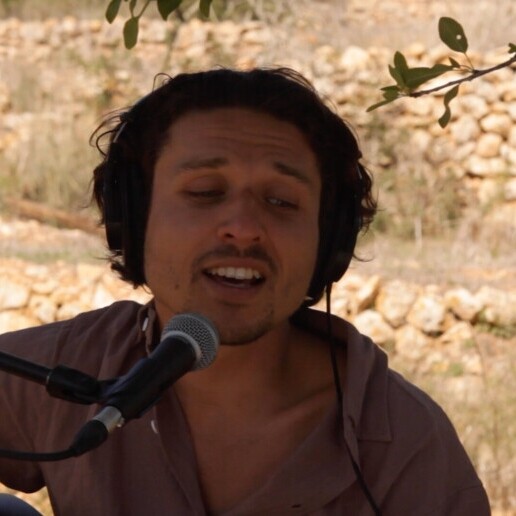 Zanger Harderwijk  (NL) Jim Faber (one man band)