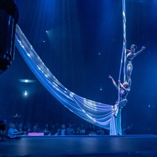 Solo silks tissue/ luchtacrobaat Aerial