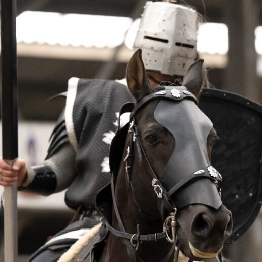 Event show Rotterdam  (NL) Ridder & Paarden Spektakel
