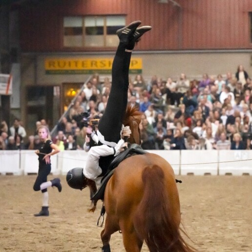 Event show Rotterdam  (NL) Paarden Trick Stunt & Roman Riding Show