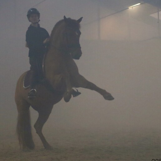 Event show Rotterdam  (NL) Spectaculaire Paarden Show Junior Team