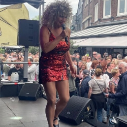 Tina Turner Act