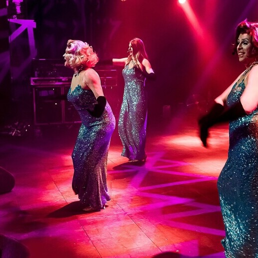 Event show Leiden  (NL) The Alley Girls - 70's Disco Show