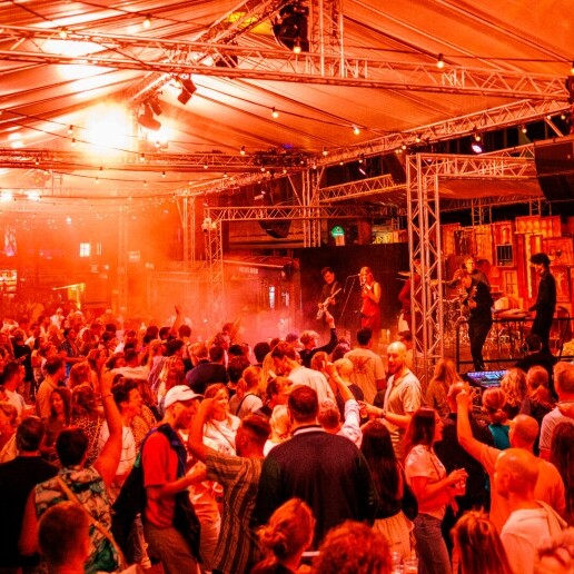 Band Utrecht  (NL) Party Trick - Energieke coverband