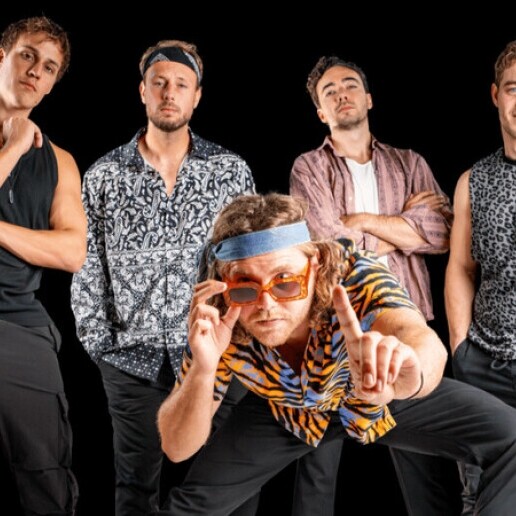 فرقة موسيقية Rijswijk  (Zuid Holland)(NL) 1Night Band