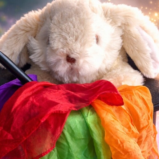 Magician Zaandam  (NL) MagicRobert