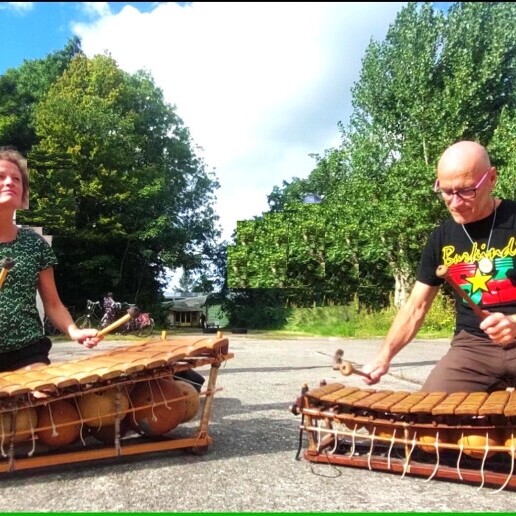 Muzikant overig Kaatsheuvel  (NL) Interactieve Afrika voorstelling