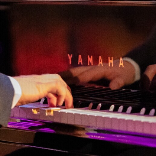 Pianist Westendorp  (NL) Stylish Background Music Piano