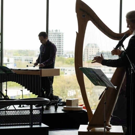 Harpist Etten-leur  (NL) Drya Ingra